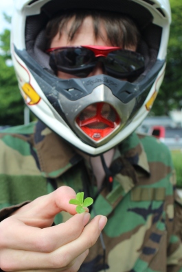 4-blaettriges-kleeblatt